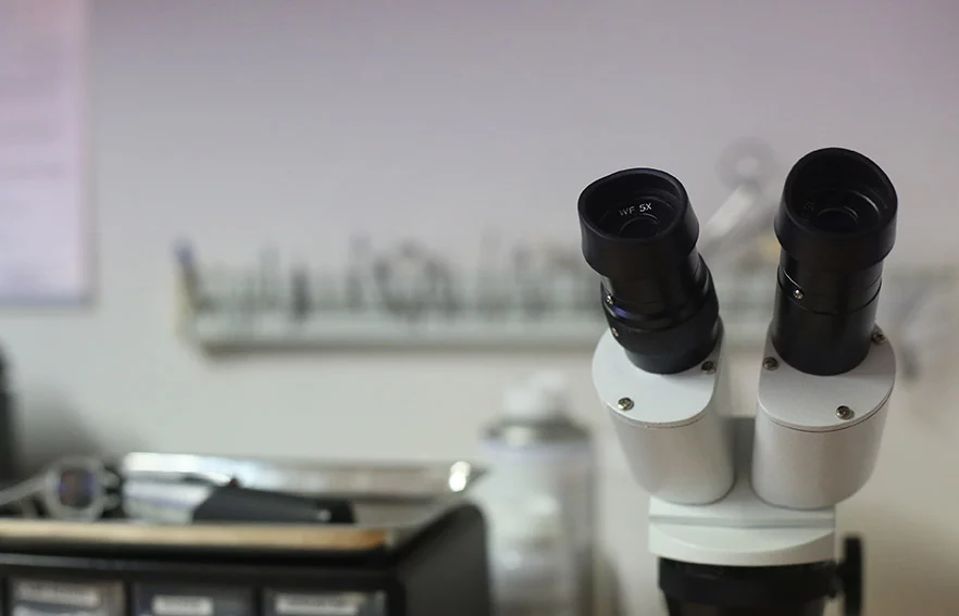 lamy-audition-doussard-microscope
